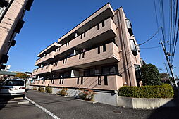 シルクトゥリー