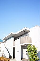 プラシード