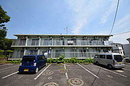 ルミニコスモス