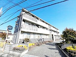 セントポーリアII