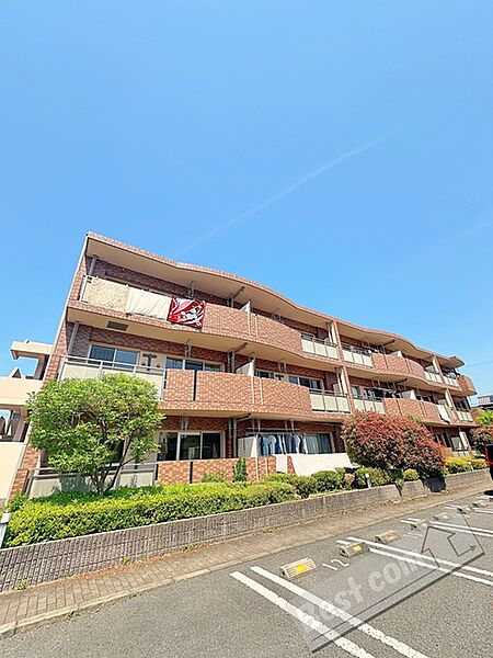 和歌山県海南市大野中(賃貸マンション3LDK・2階・67.66㎡)の写真 その1