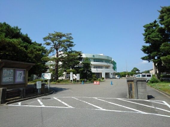 マルベリーＡ_その他_7