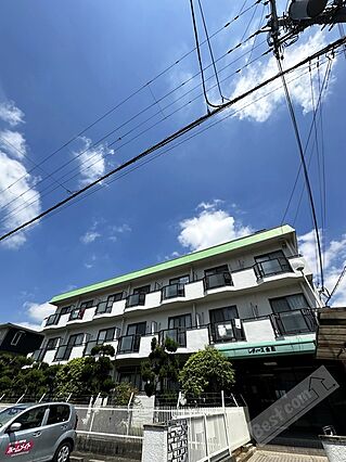 レディース金剛_トップ画像