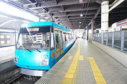 ハイム　ミモザ
