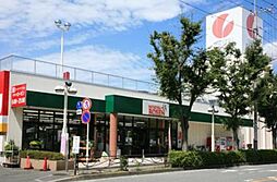 フラット　リブ