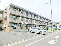 エーデルワイス