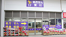 Grand Soleil(グラン　ソレイユ)