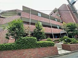 ＮＪＫ　ＭＡＲＱＵＩＳ　ＫＯＩＳＨＩＫＡＷＡ 206