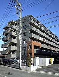 アクシスソメイ