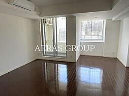 パークフラッツ銀座イースト 902 9階ワンルームのリビング/ダイニング