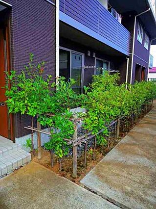 ステラ要町_その他_2