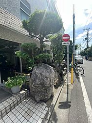 カールトンコート