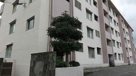 古天神ハイツ_トップ画像