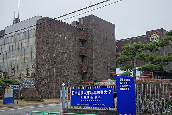 画像24:日本歯科大学 1057m