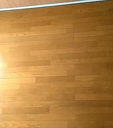 寺尾サイトーレオハウス 1階ワンルームのリビング/ダイニング