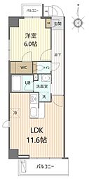 シティレジデンス東陽町 1LDKの間取図画像