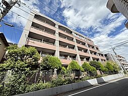 アネシス（中沢1）