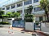 周辺：新宿区立柏木小学校 578m