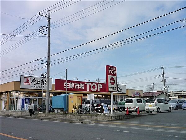 画像27:マミーマート生鮮市場TOP苗間店 200m