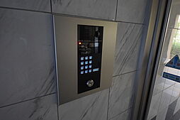 グレイシャスハシモト