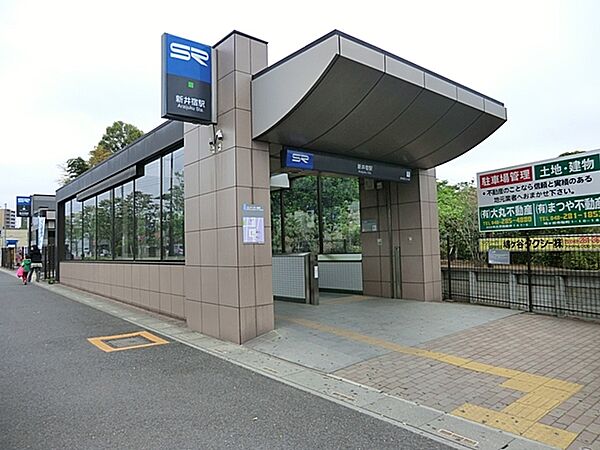 ＧＲＥＥＮ　ＮＥＳＴ6