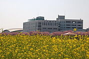 私立白鴎大学 224m