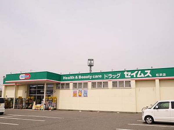画像24:ドラッグセイムス松浜店 488m