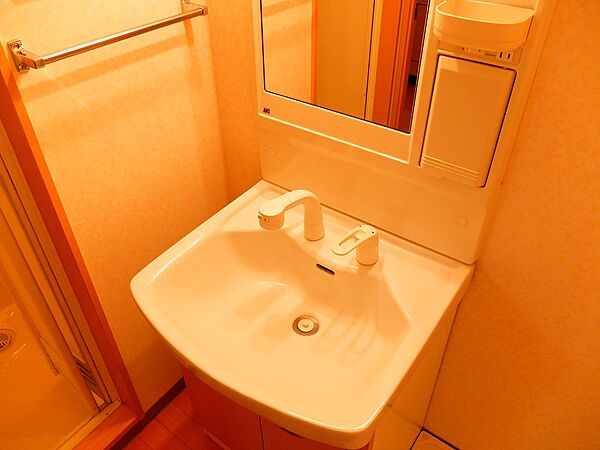 画像7:便利なシャワー付洗面台。