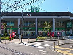 [周辺] サミットストア横浜岡野店まで480m、他にインテリア雑貨、100円ショップ・ドラッグストア・ファッション・飲食店・各種クリニックなども揃って便利なお店です。
