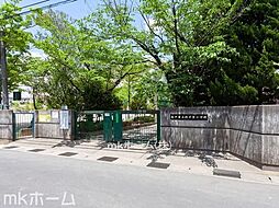 [周辺] 松戸市立殿平賀小学校 徒歩6分。 480m