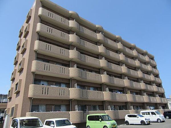 ユーミー新城