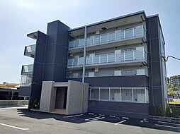 ピーノ　グランデ