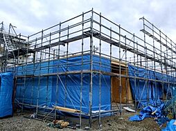 ベルオリーブ 102