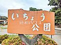 いちょう公園 ...