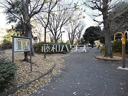 谷戸イチョウ公園 (350m)