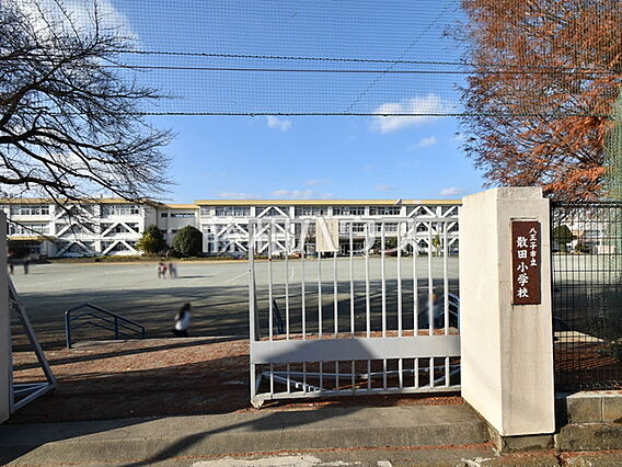 八王子市立散田...
