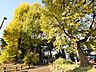 周辺：練馬区立 早宮こかげ緑地 (620m)