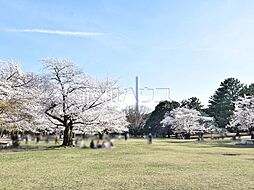 光が丘パークタウン春の風公園街7-6-5