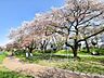 周辺：台田運動公園　サイクリング散策道 (390m)