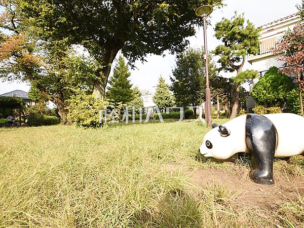 周辺を拡大表示