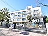 周辺：練馬区立大泉中学校 (980m)