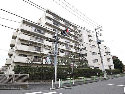 外観:外観 【石神井公園パークハイツ】 外観:外観 【石神井公園パークハイツ】