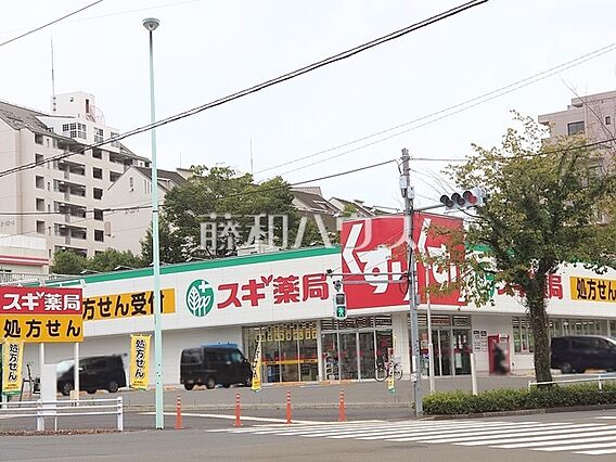 スギドラッグ ...