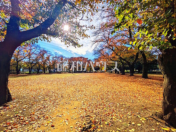 周辺を拡大表示