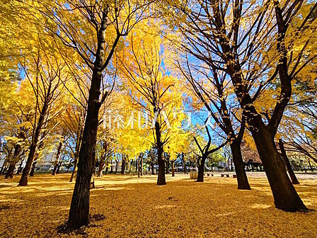 芦花公園 (1370m)