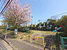 周辺：ちょうまんびら公園 (1160m)