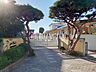 周辺：みふじ幼稚園 (520m)