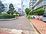 外観：接道状況および現場風景　【練馬区早宮4丁目】