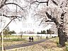 周辺：都立高井戸公園 (1260m)