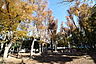 周辺：北町公園 （武蔵野市） (180m)